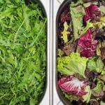 Smaczna równowaga: jak ułożyć menu z właściwymi proporcjami magnezu i wapnia