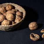 Zadbaj o tarczę mózgu talerzem: smaczny plan wspierający barierę krew–mózg